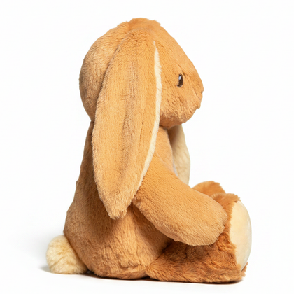 The Little | Bunny of Berkshire